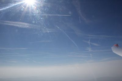 IMG 7438
