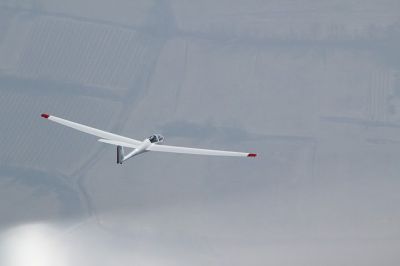 IMG 7459