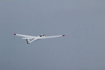 IMG 7460