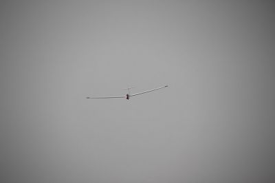 IMG 7491