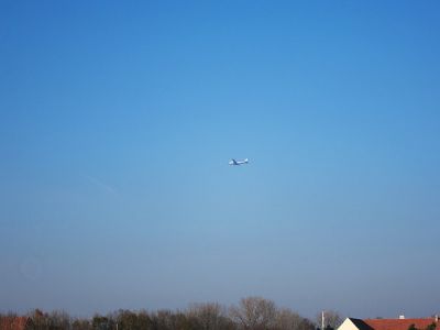 IMG 3261